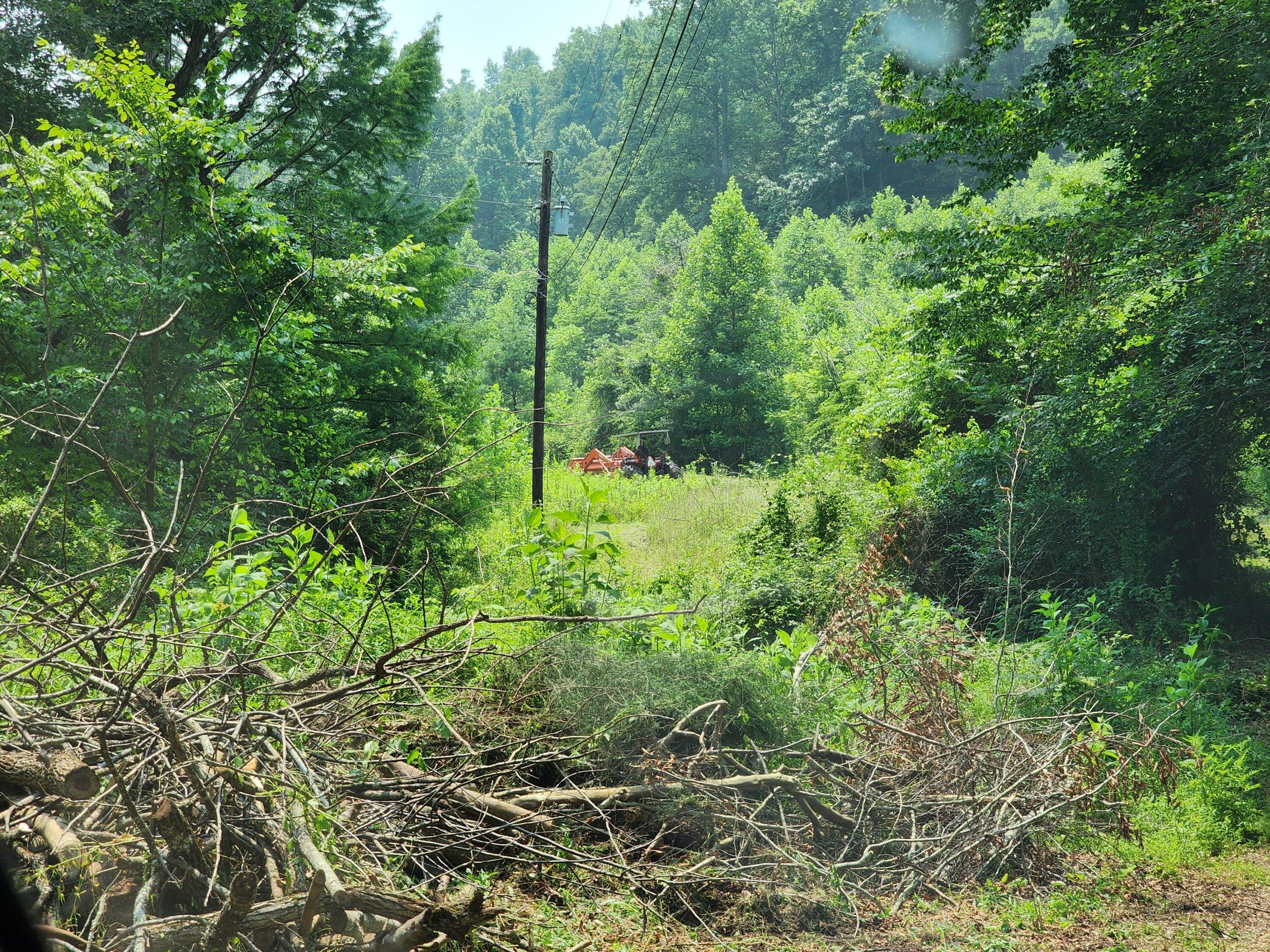 1253 Ryder Church Road Bluff City, TN 37618 - Photo 60 of 75 20230717_133700
