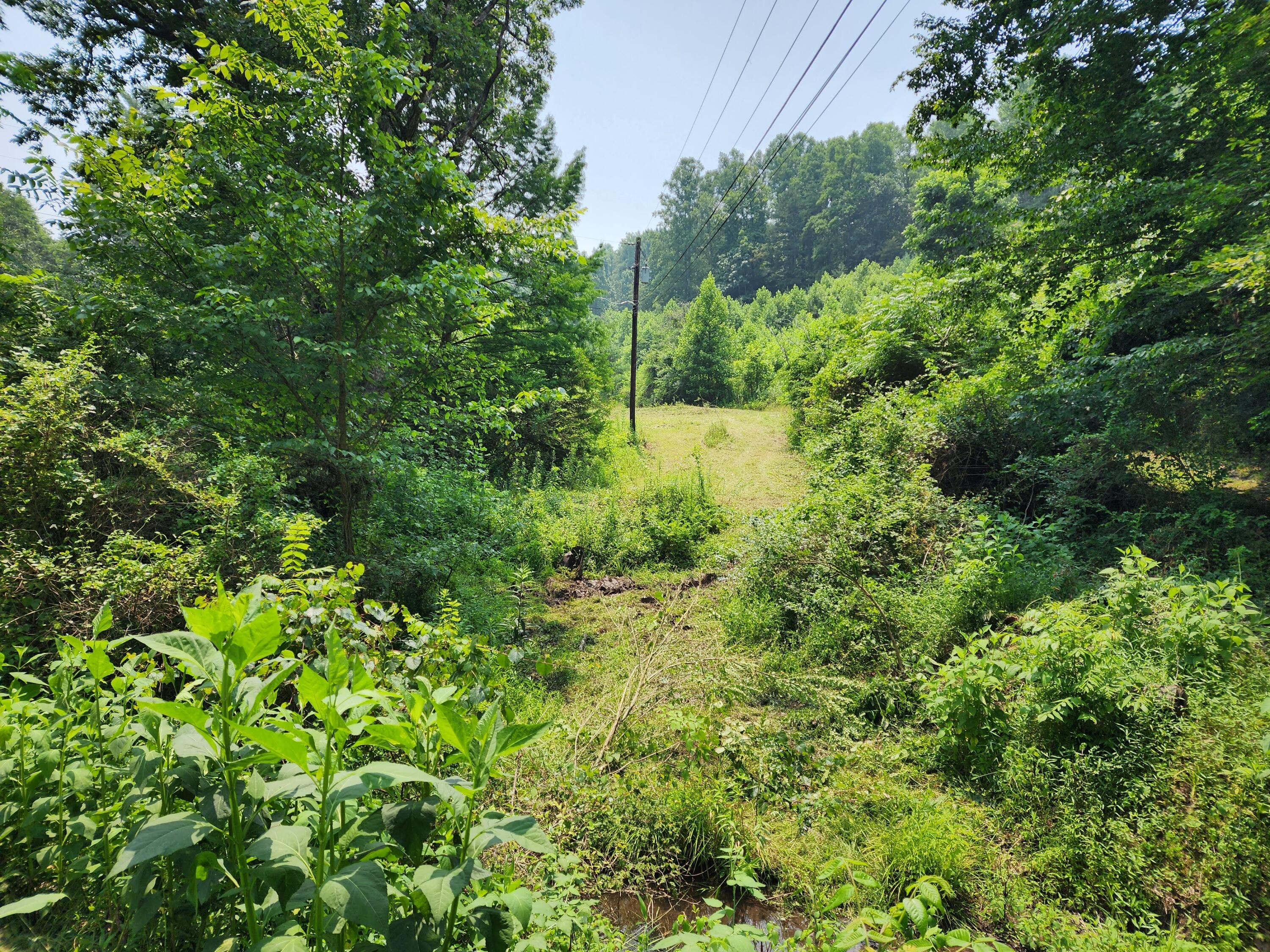 1253 Ryder Church Road Bluff City, TN 37618 - Photo 61 of 75 20230717_134818