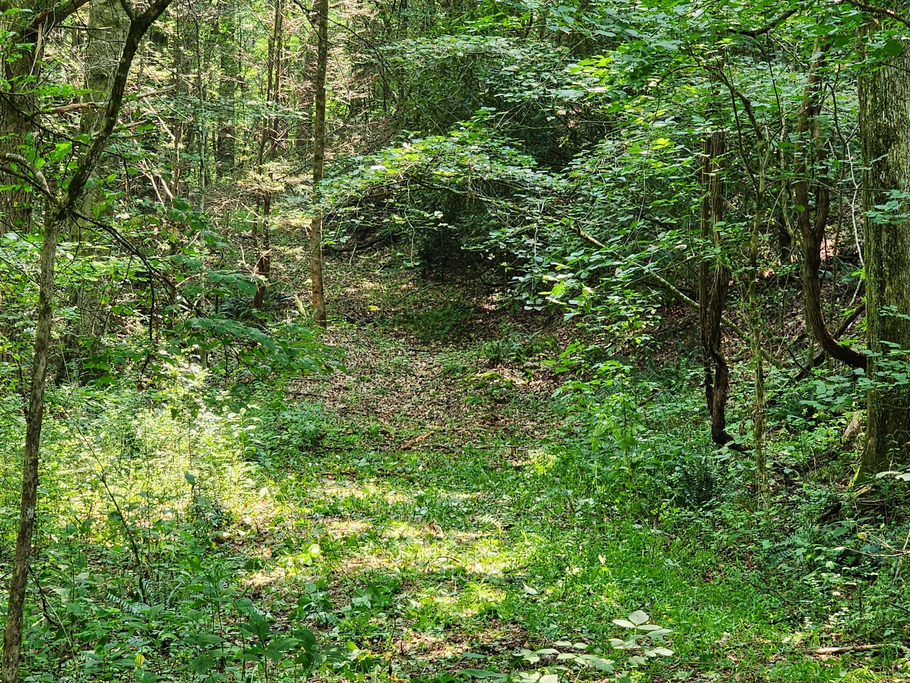 1253 Ryder Church Road Bluff City, TN 37618 - Photo 65 of 75 20230717_141414