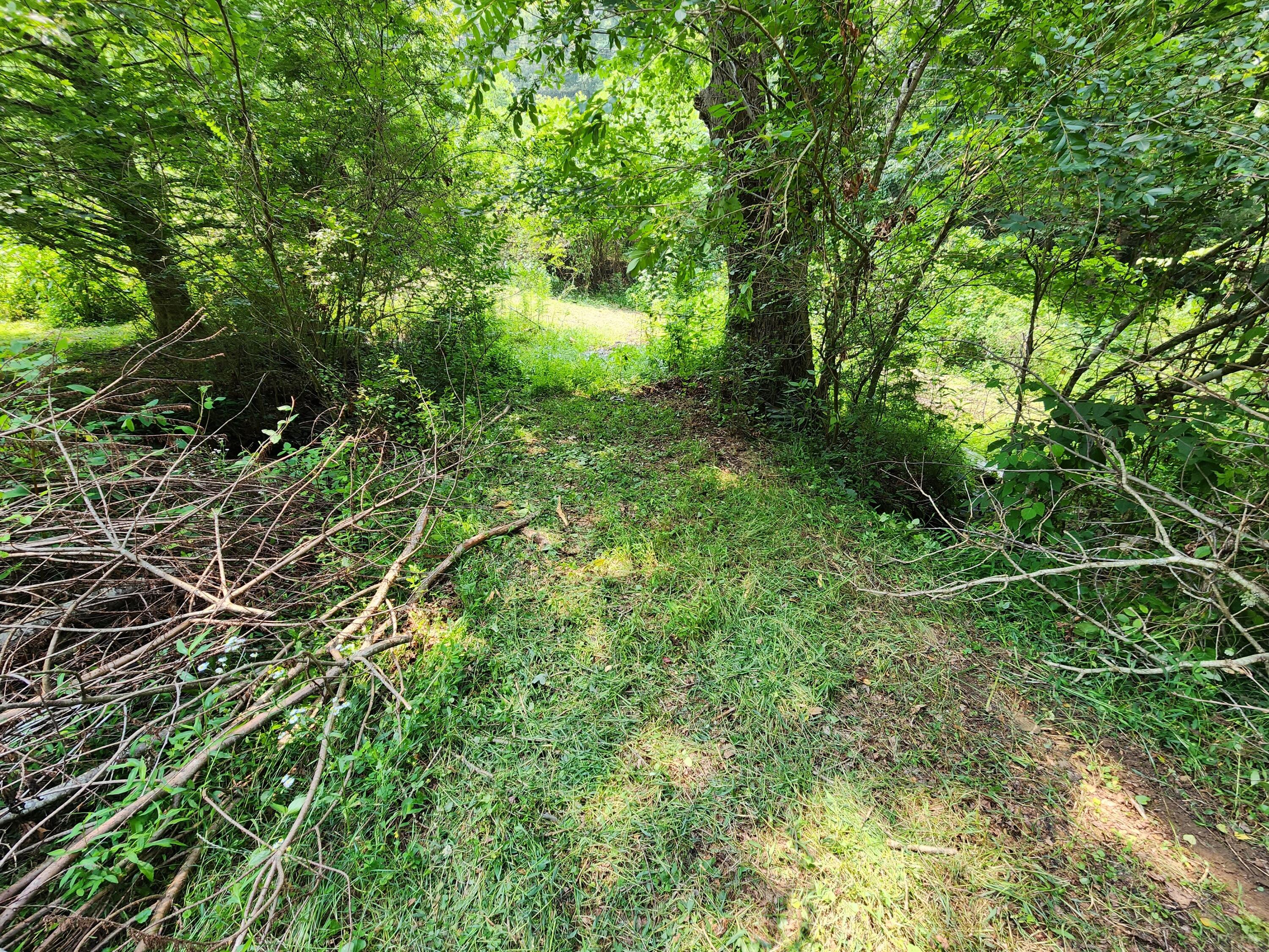 1253 Ryder Church Road Bluff City, TN 37618 - Photo 69 of 75 20230717_141758