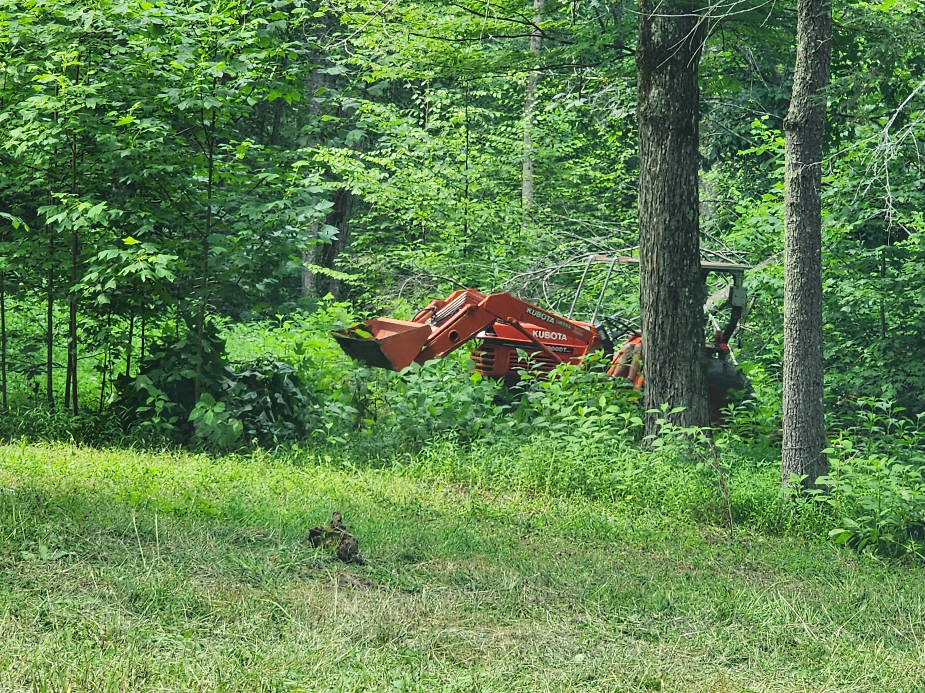 1253 Ryder Church Road Bluff City, TN 37618 - Photo 70 of 75 20230717_162145