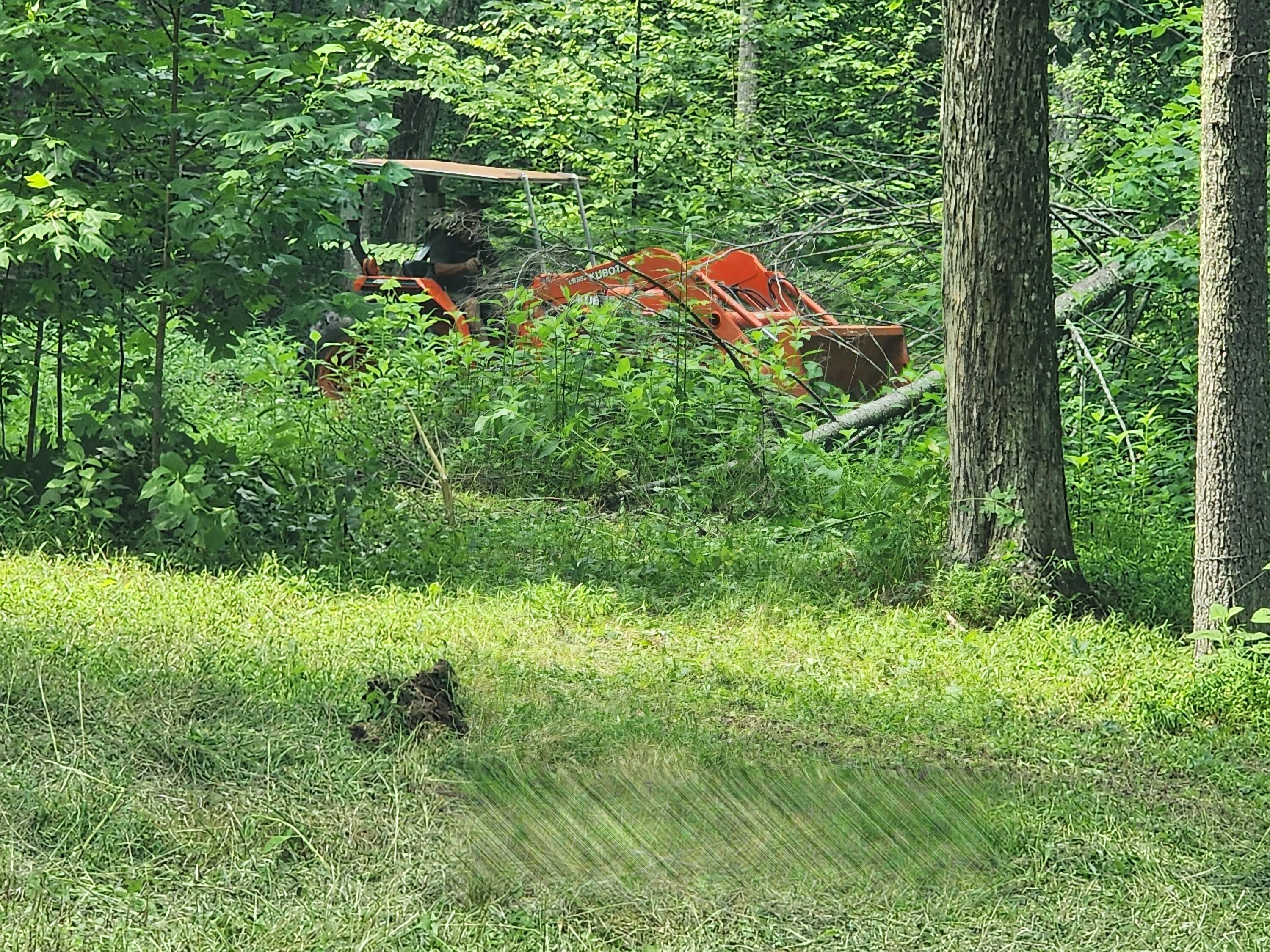 1253 Ryder Church Road Bluff City, TN 37618 - Photo 72 of 75 20230717_162604