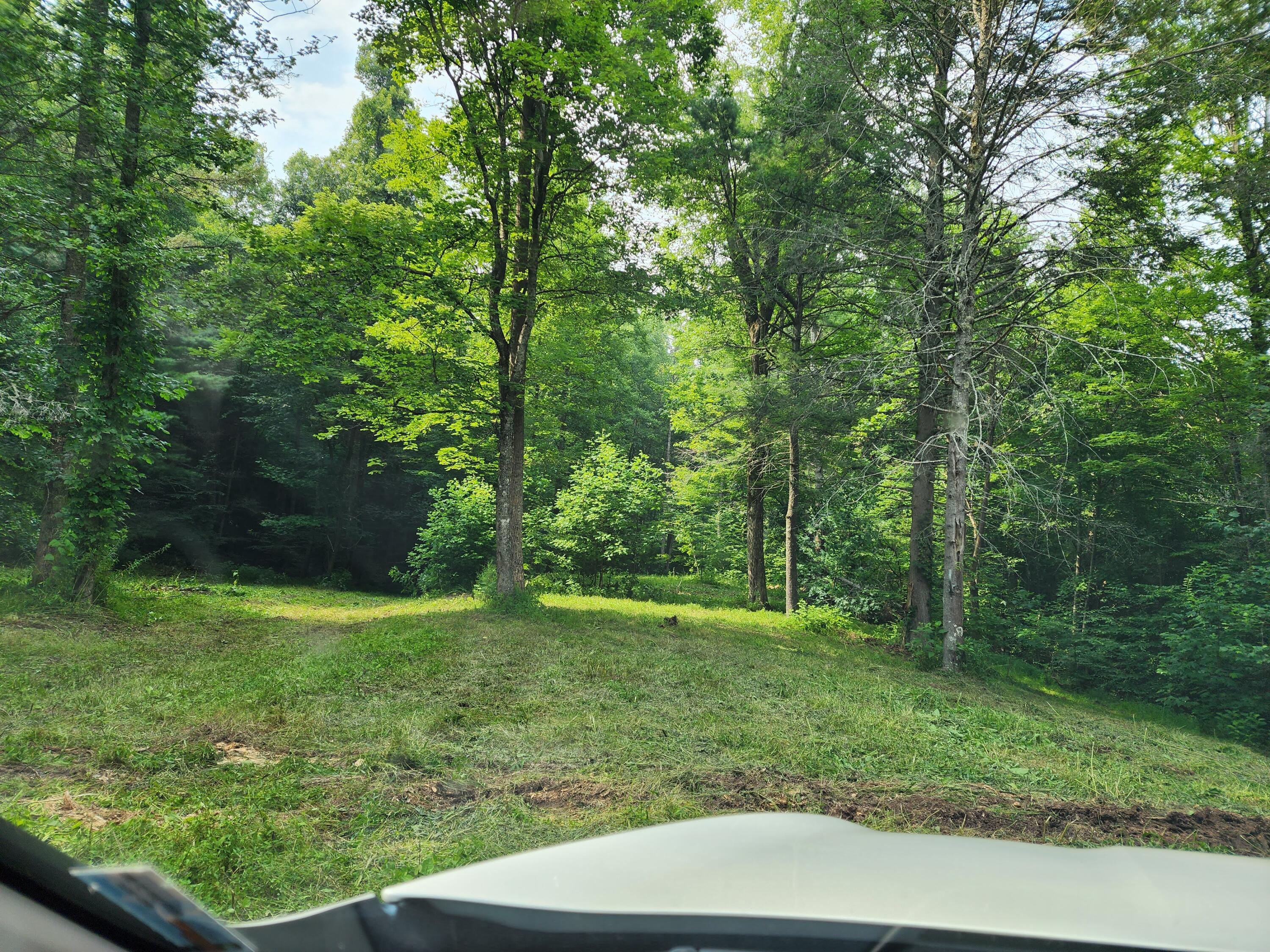 1253 Ryder Church Road Bluff City, TN 37618 - Photo 75 of 75 20230717_163308