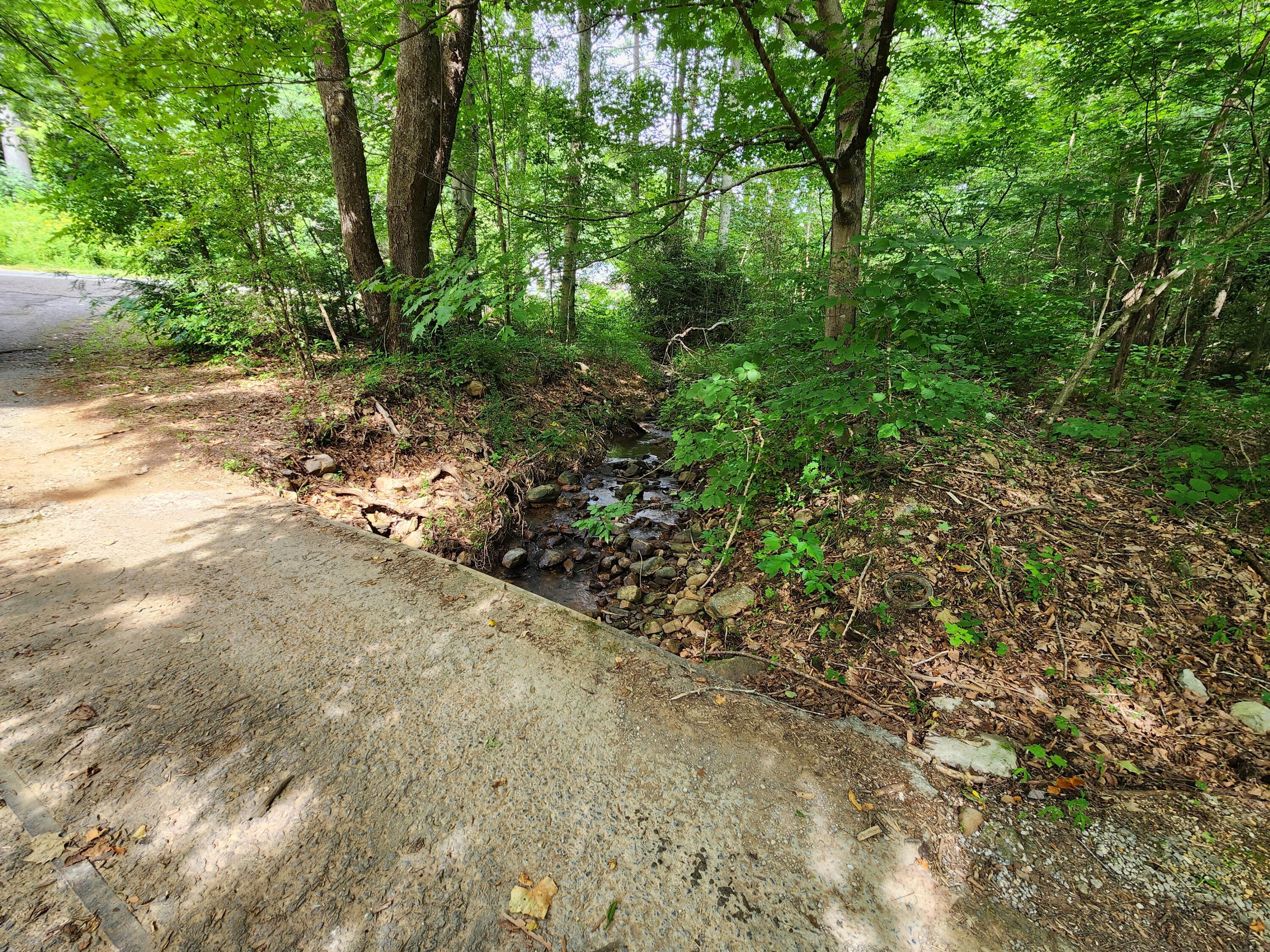 1253 Ryder Church Road Bluff City, TN 37618 - Photo 8 of 75 20230713_164820