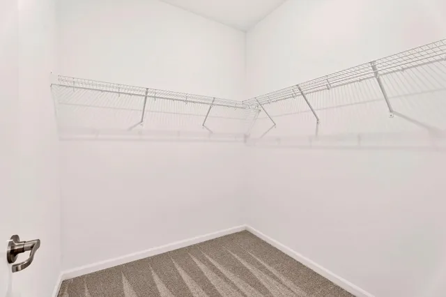 a view of a room with racks on the wall