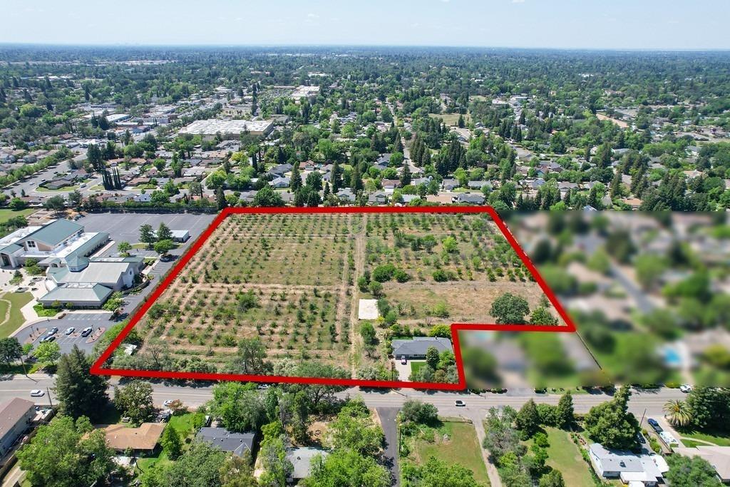 a view of a city with lots of flowers and trees