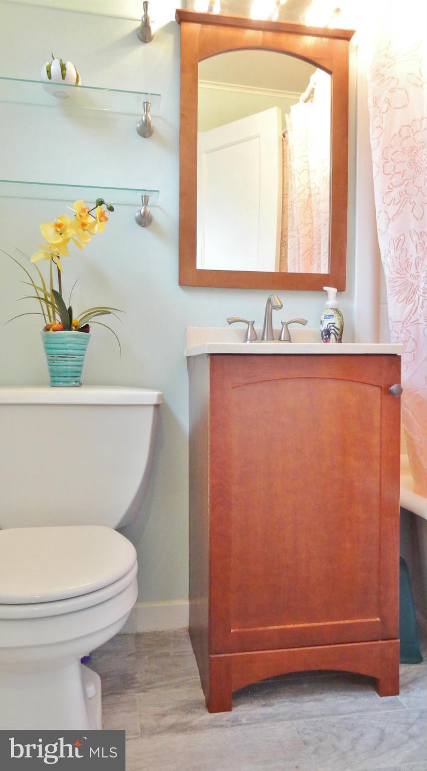 18 Ridge Road, Unit E Greenbelt, MD 20770 - Photo 14 of 15 Bath