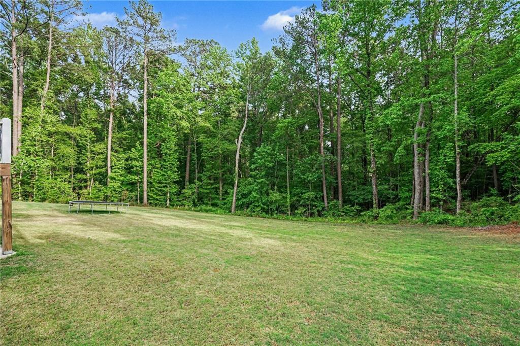 2516 Stream View Drive Conyers, GA 30013 - Photo 51 of 56