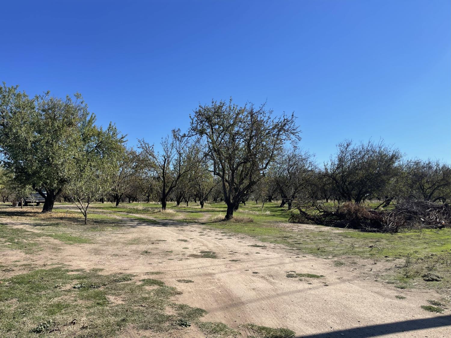 1313 South Stearns Road Oakdale, CA 95361 - Photo 38 of 57 a view of outdoor space with trees
