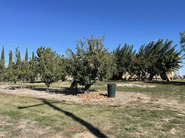 a view of a field of grass and trees