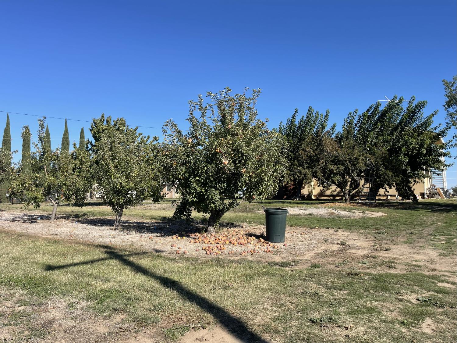 1313 South Stearns Road Oakdale, CA 95361 - Photo 39 of 57 a view of a yard with wooden fence