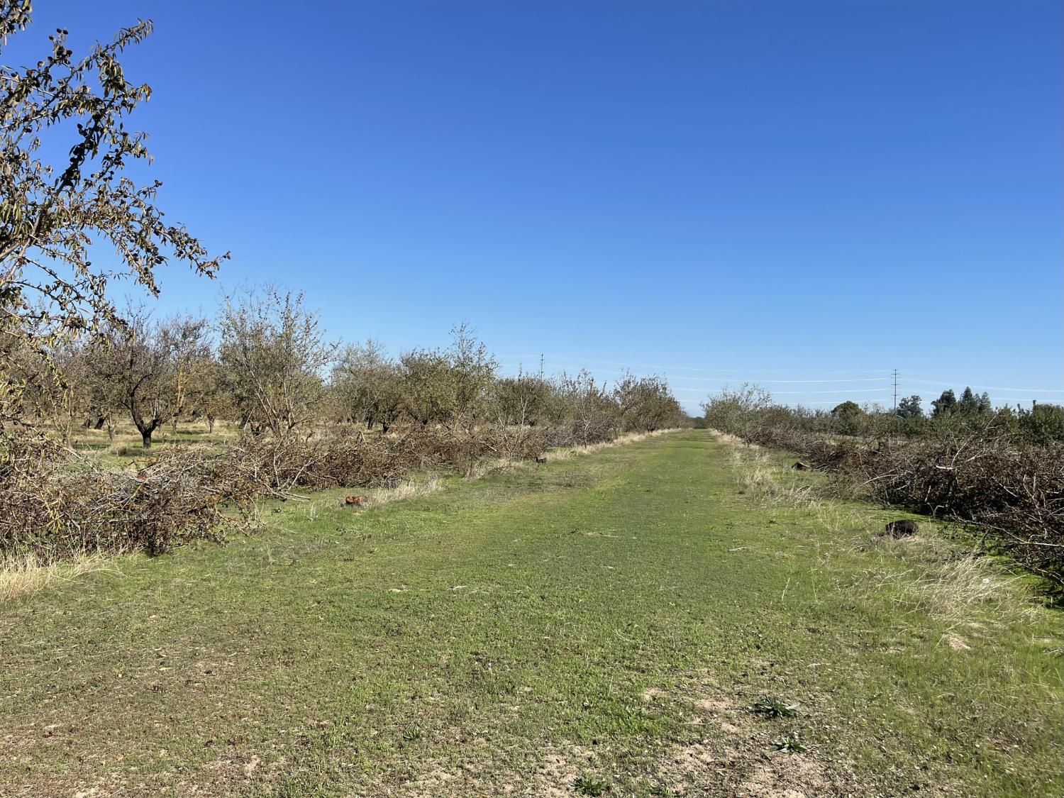 1313 South Stearns Road Oakdale, CA 95361 - Photo 44 of 57 a view of an outdoor space and a yard