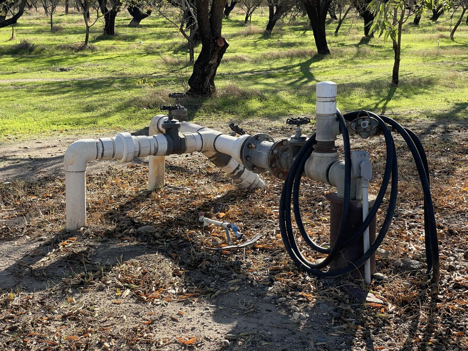 1313 South Stearns Road Oakdale, CA 95361 - Photo 50 of 57 a view of swimming pool with lawn chairs and outdoor seating