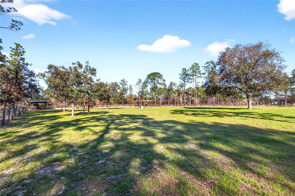 17087 Southwest 27 Street Dunnellon, FL 34432 - Photo 34 of 53 a view of swimming pool with outdoor space and trees around