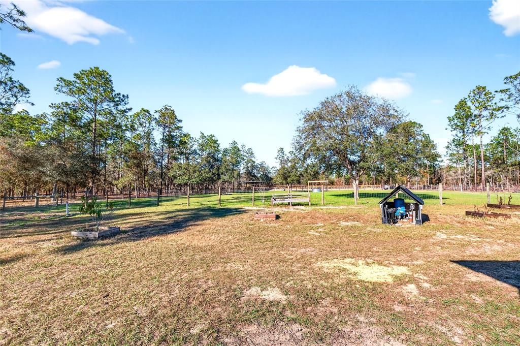 17087 Southwest 27 Street Dunnellon, FL 34432 - Photo 39 of 53 a view of a swimming pool and a yard