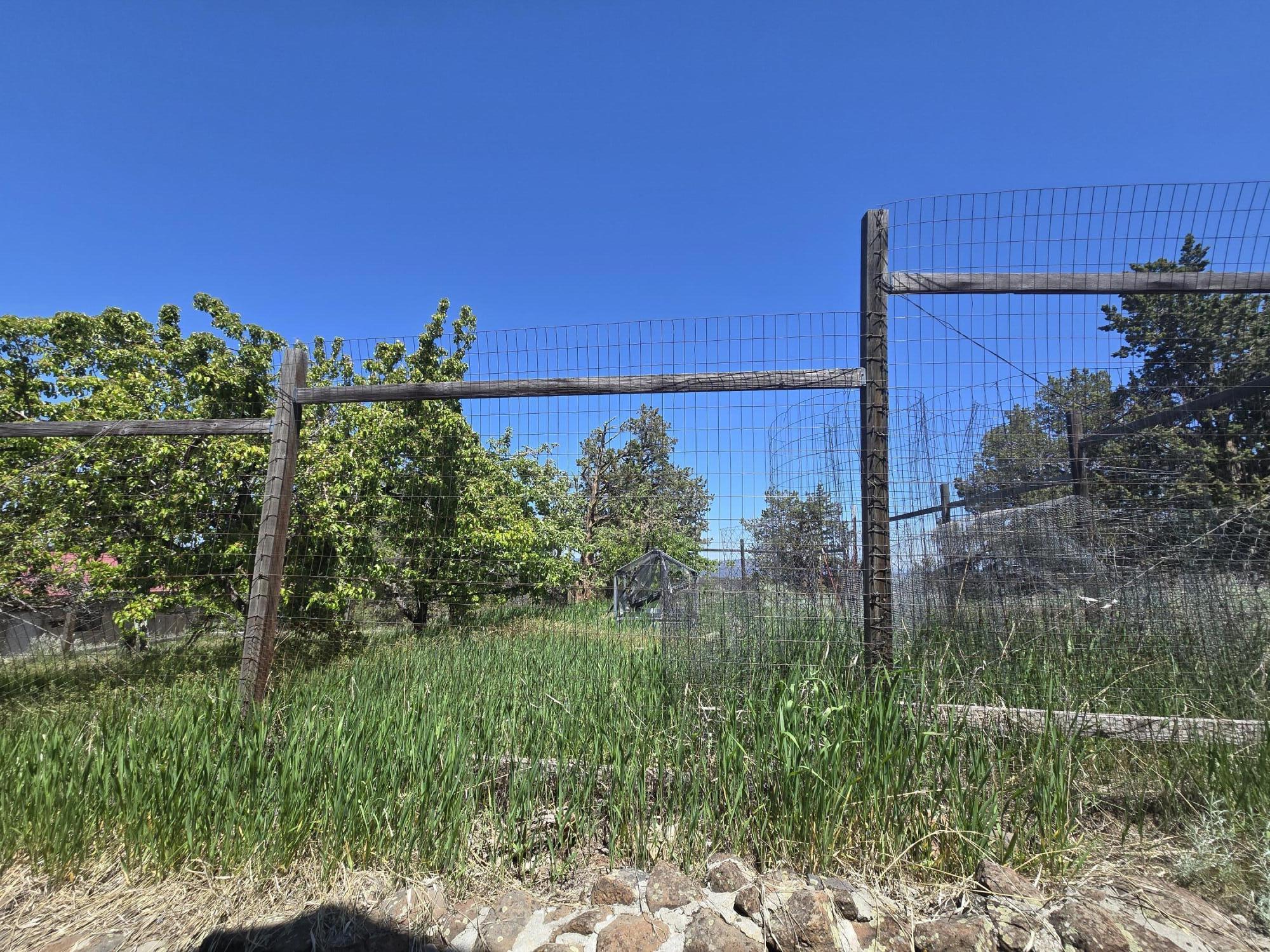 5520 Andrews Road Dorris, CA 96023 - Photo 30 of 56 Yard