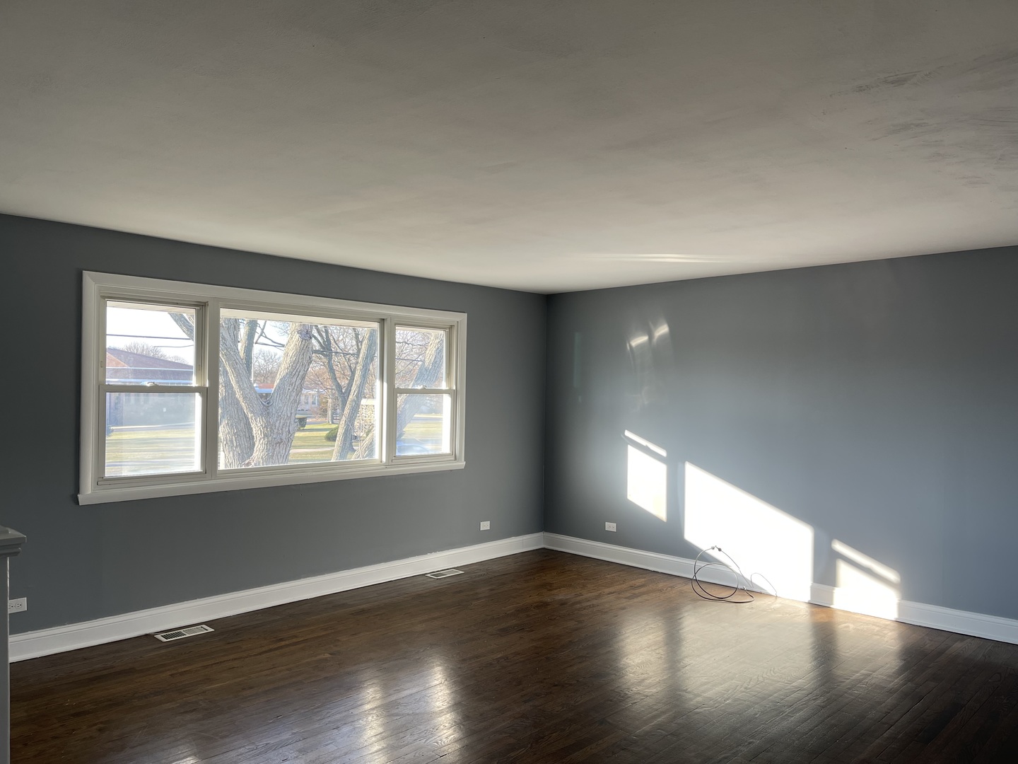 823 Springinsguth Road Schaumburg, IL 60193 - Photo 3 of 16 Gallery Image 3