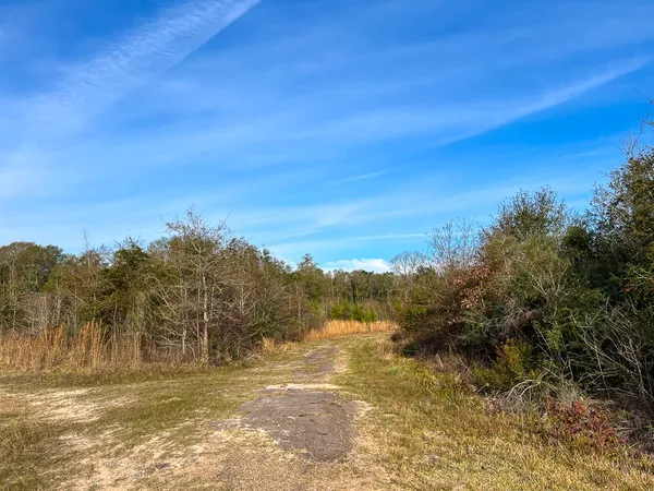 $132,000 | T-8 T-8 Tall Cotton Road, Saratoga, TX 77585