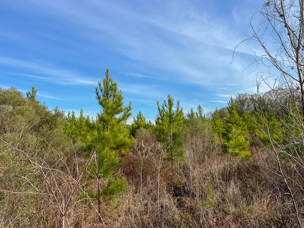 $132,000 | T-8 T-8 Tall Cotton Road, Saratoga, TX 77585