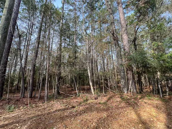 $132,000 | T-8 T-8 Tall Cotton Road, Saratoga, TX 77585