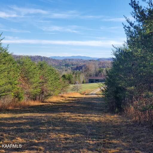 2062 Ballplay Road Madisonville, TN 37354 - Photo 1 of 14 What a view to wake up to!!