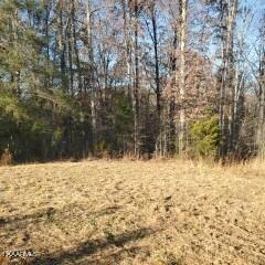 2062 Ballplay Road Madisonville, TN 37354 - Photo 8 of 14 17124