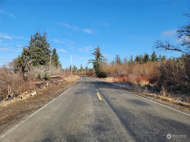 a view of a road with a yard
