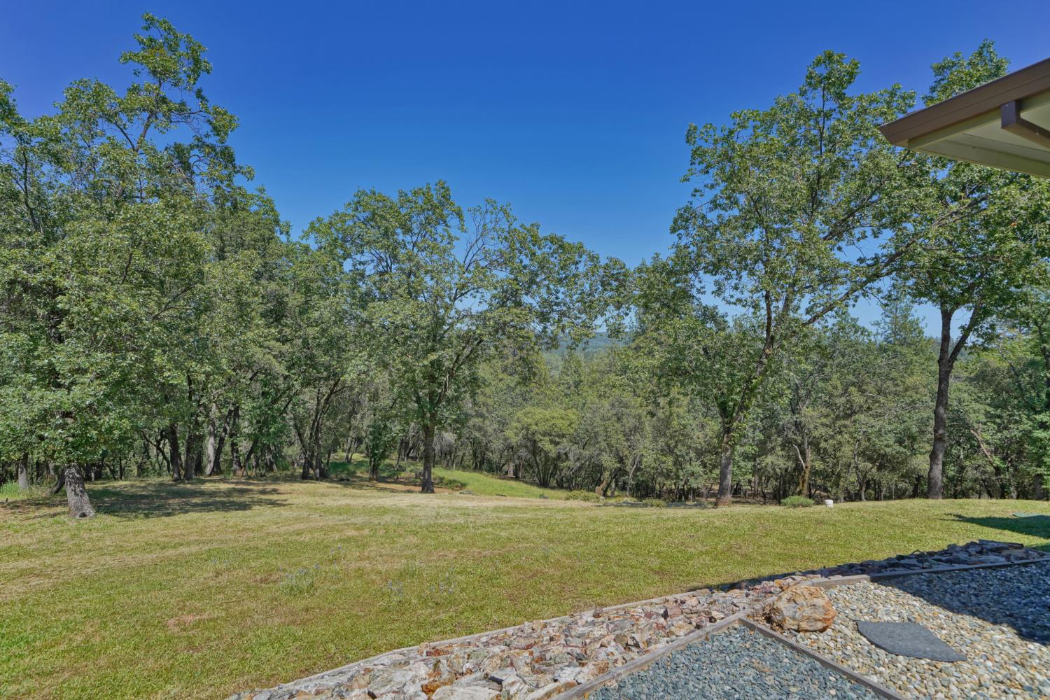 2469 Secret Ravine Trail Cool, CA 95614 - Photo 45 of 80
