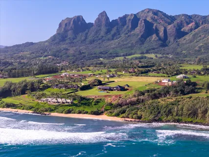 a bed room with furniture and wooden floor