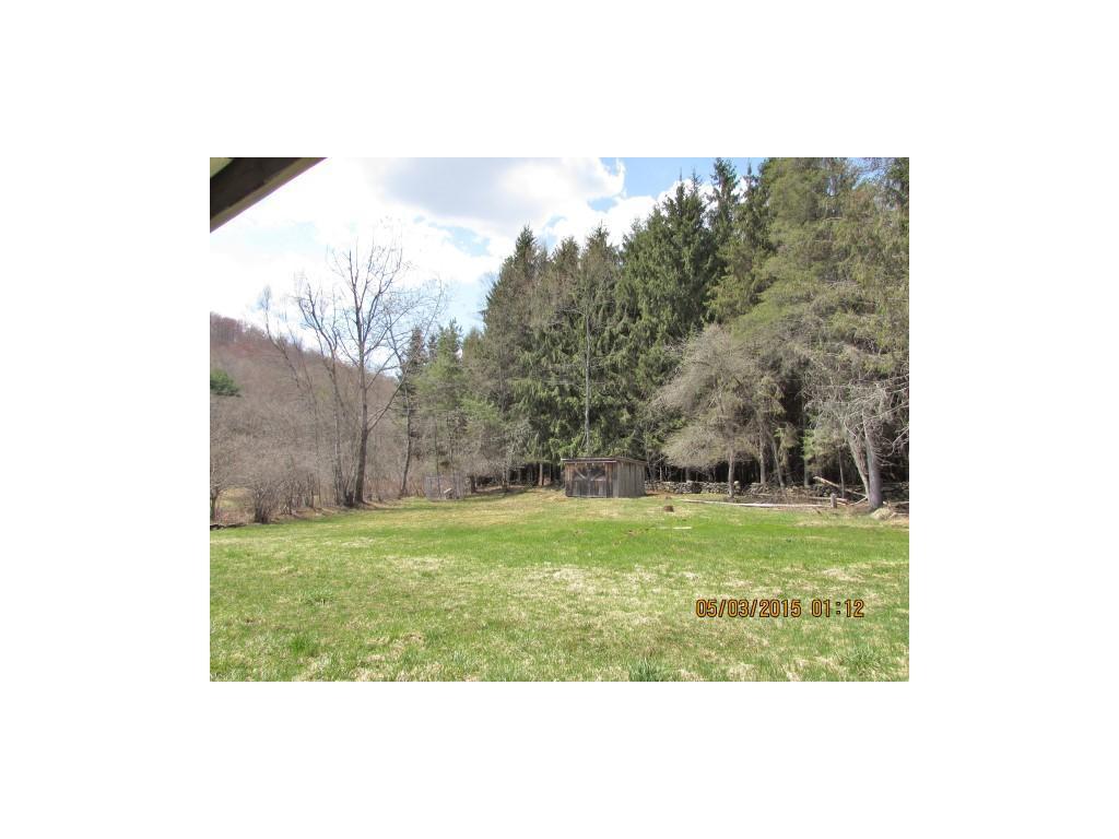 499 Russell Road Walton, NY 13856 - Photo 3 of 12 Gallery Image 3