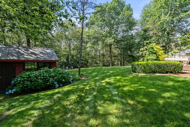a view of a back yard