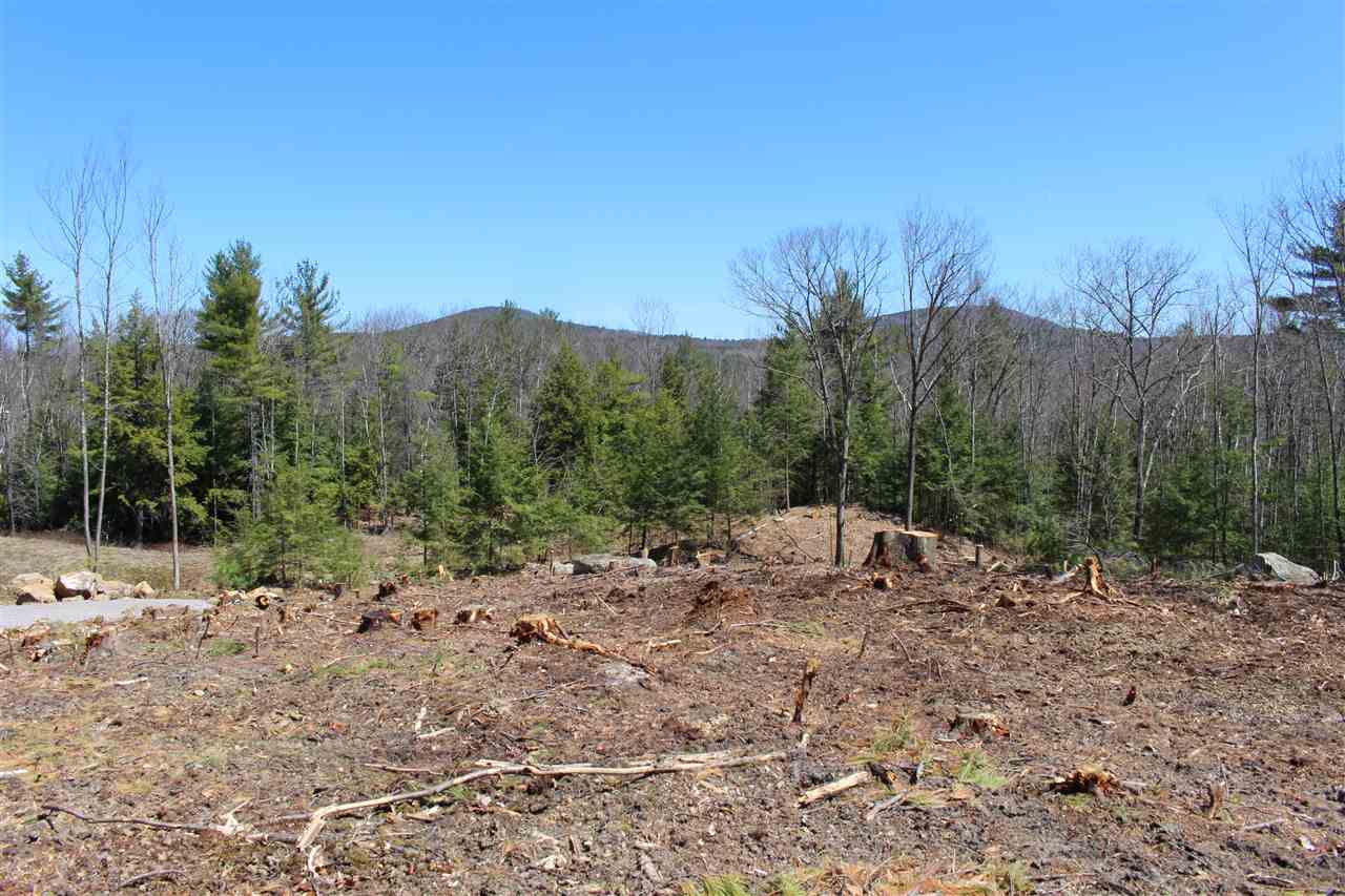 99 Indian Falls Road New Boston, NH 03070 - Photo 6 of 24