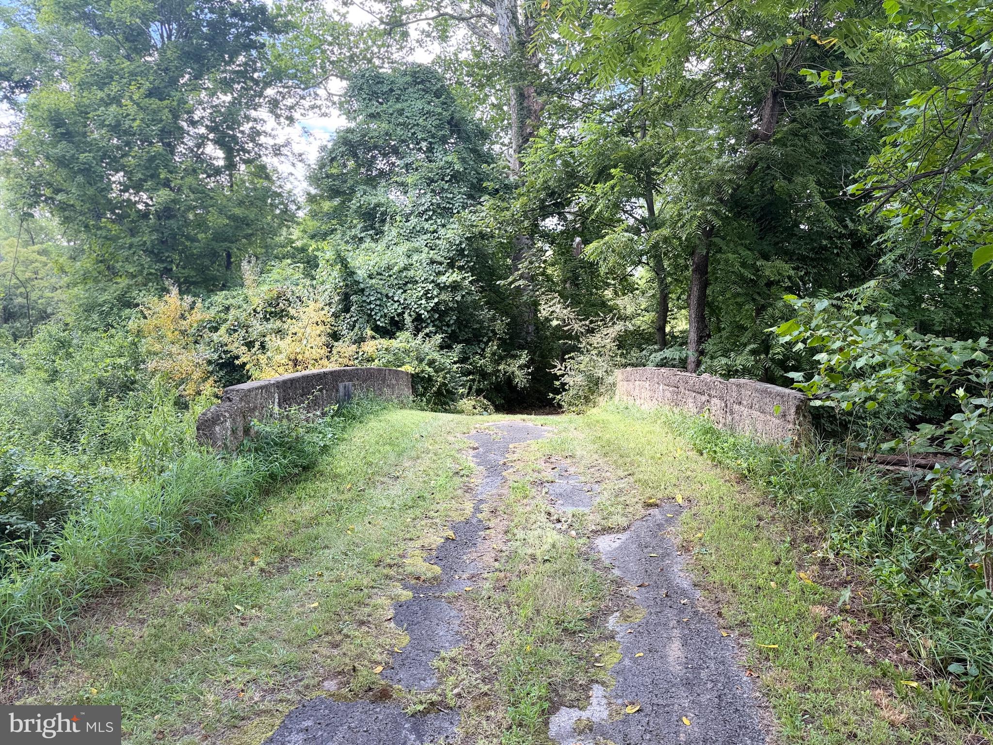 Laurel Dale Road New Creek, WV 26743 - Photo 6 of 17 Gallery Image 6