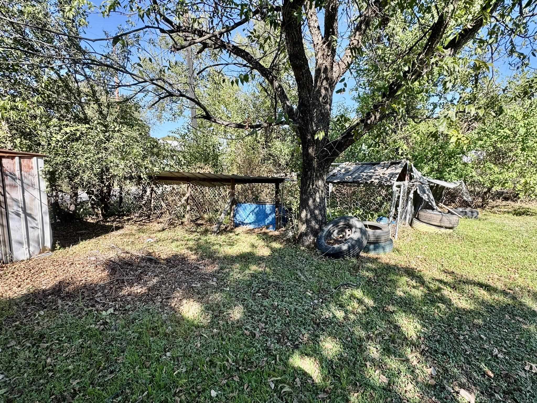 520 Munson Tow, TX 78672 - Photo 7 of 24 a view of a yard with table and chairs and a large tree