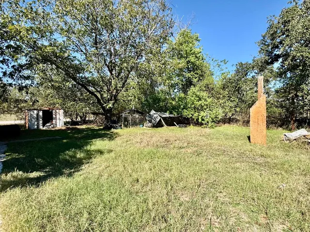a view of a yard with plants and trees