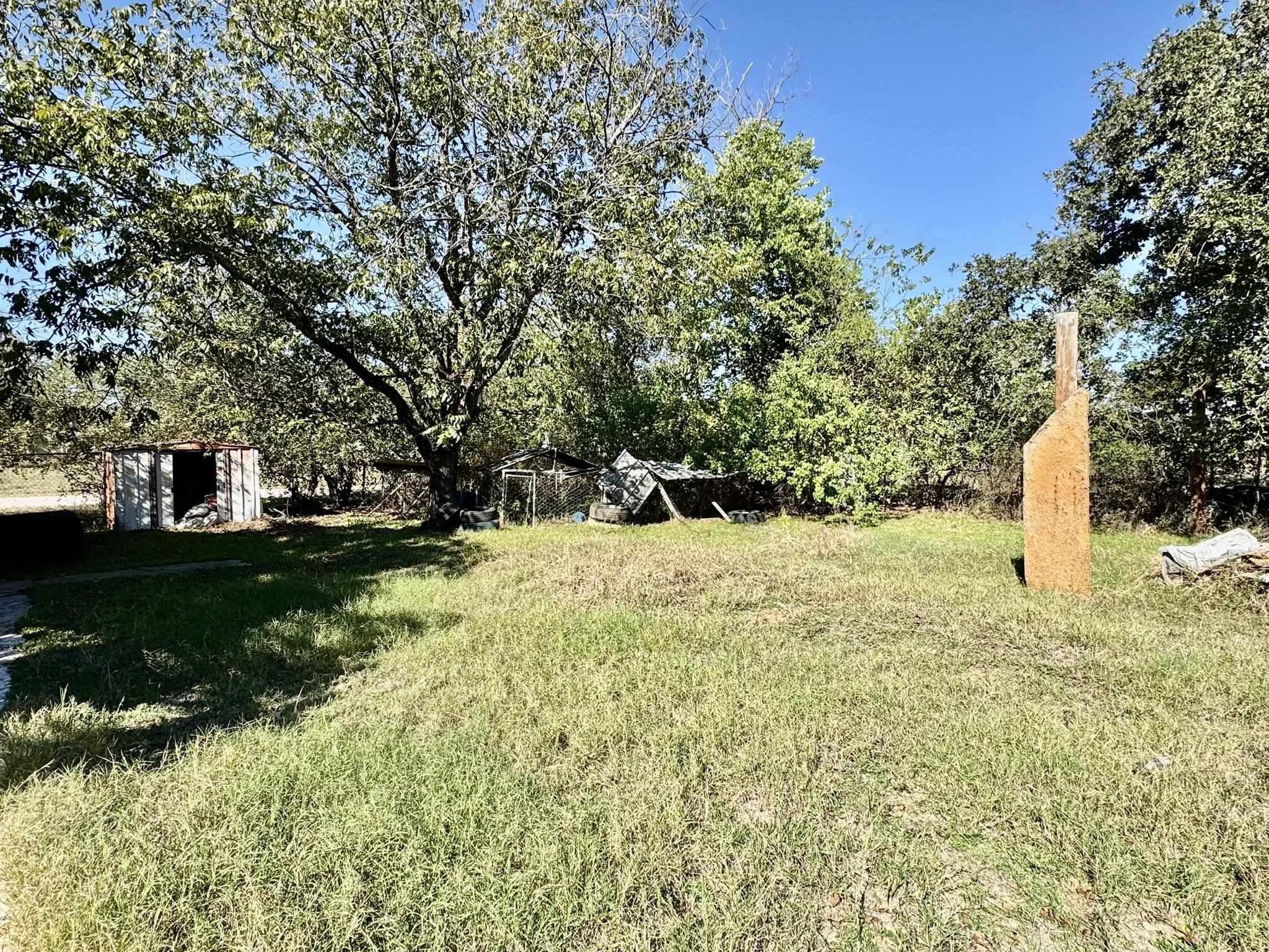 520 Munson Tow, TX 78672 - Photo 8 of 24 a view of a yard with plants and trees