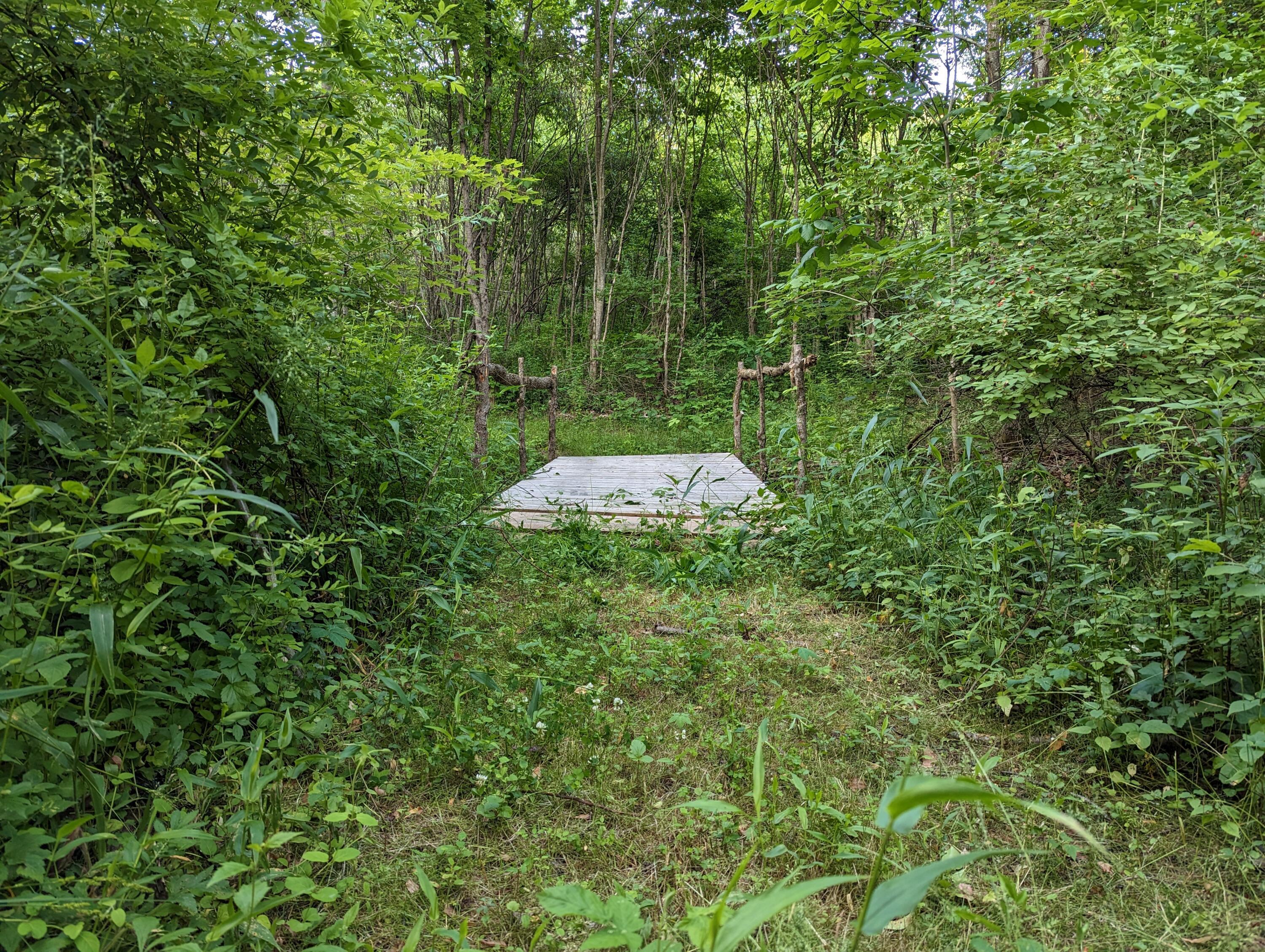 0 Hewitt Road Nashport, OH 43830 - Photo 5 of 25 PXL_20230614_235941518