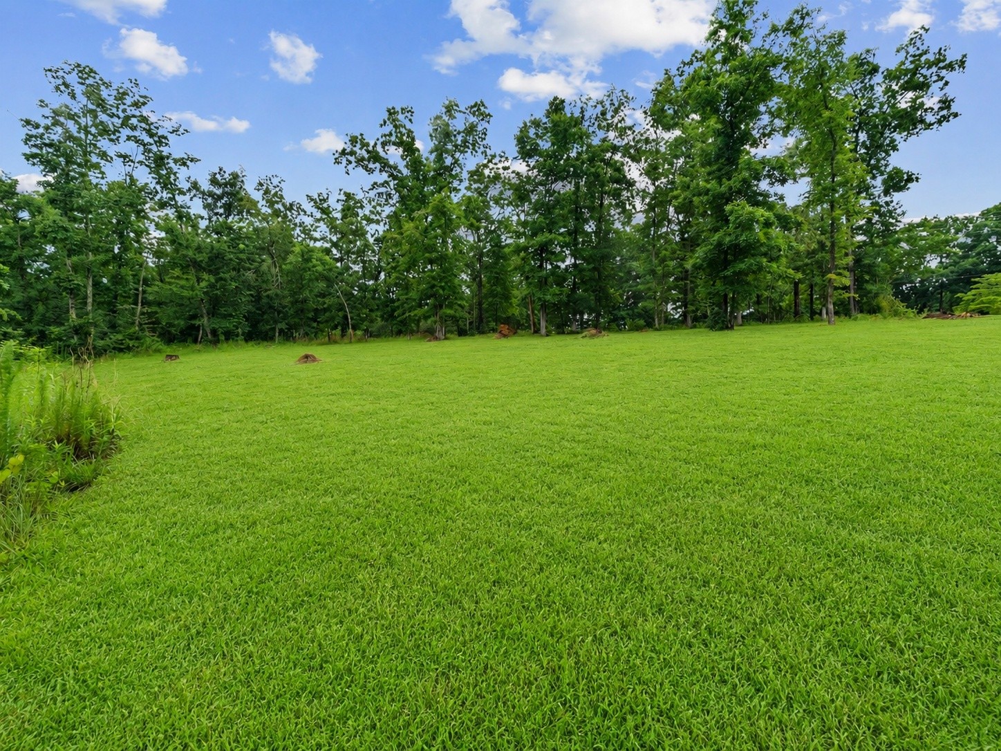 217 Rockhouse Road Hohenwald, TN 38462 - Photo 77 of 78