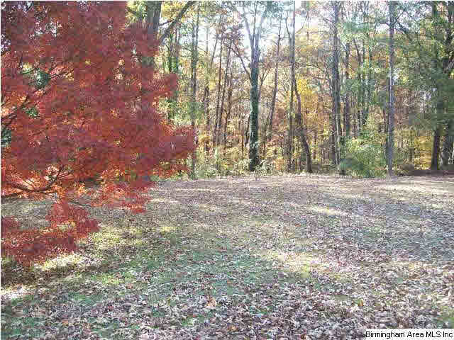 143 Porter Crest Road Graysville, AL 35073 - Photo 5 of 15