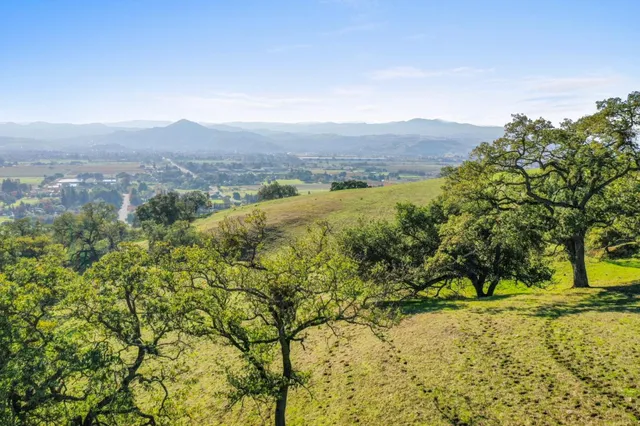 a view of a lush green field