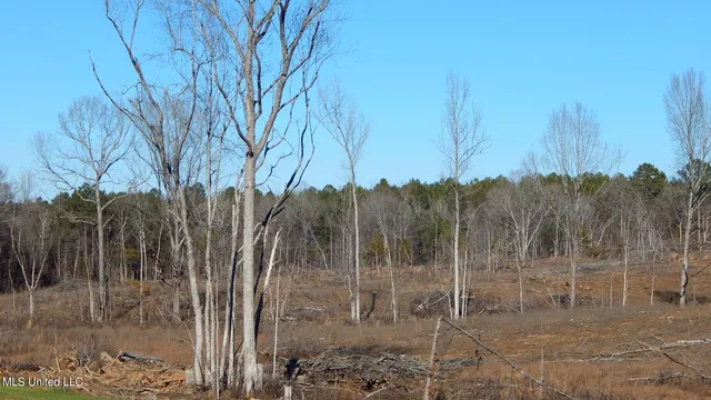 $144,750 | 706 Graysport Crossing Road, Gore Springs, MS 38929