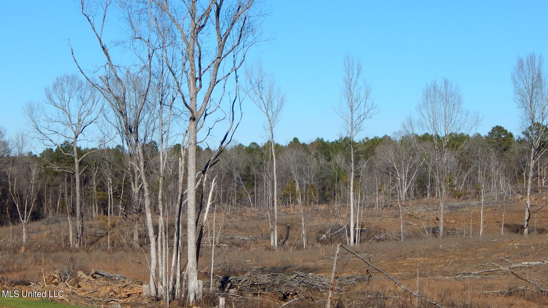 706 Graysport Crossing Road Gore Springs, MS 38929 - Photo 11 of 26 DSCN4679