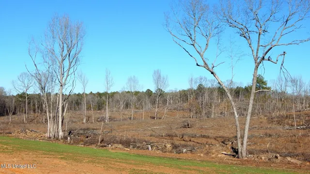 $144,750 | 706 Graysport Crossing Road, Gore Springs, MS 38929