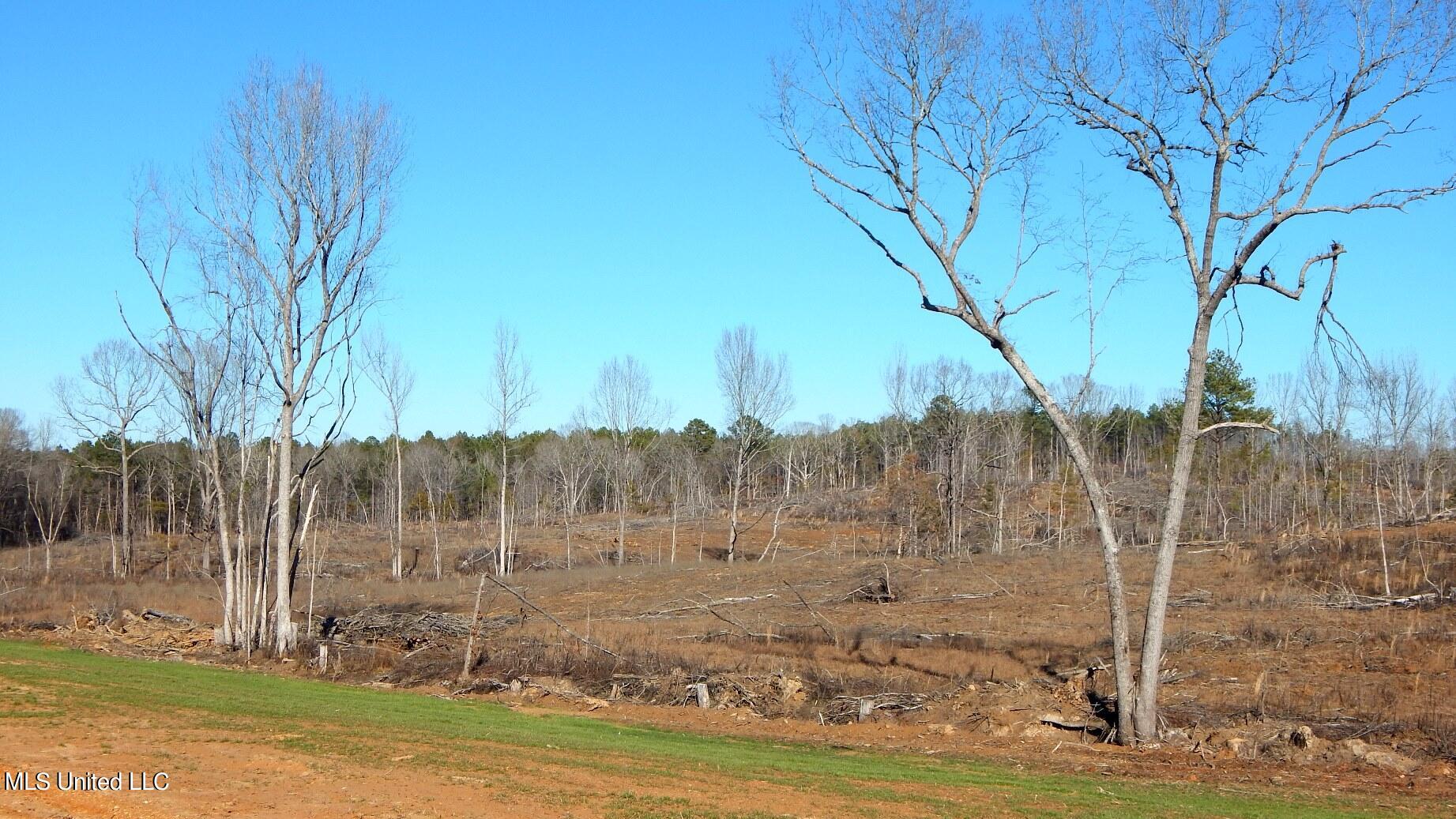 706 Graysport Crossing Road Gore Springs, MS 38929 - Photo 12 of 26 DSCN4682