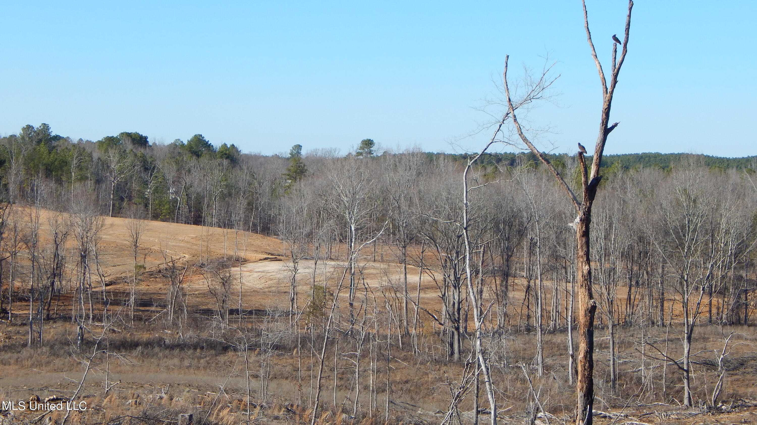 706 Graysport Crossing Road Gore Springs, MS 38929 - Photo 16 of 26 DSCN4708