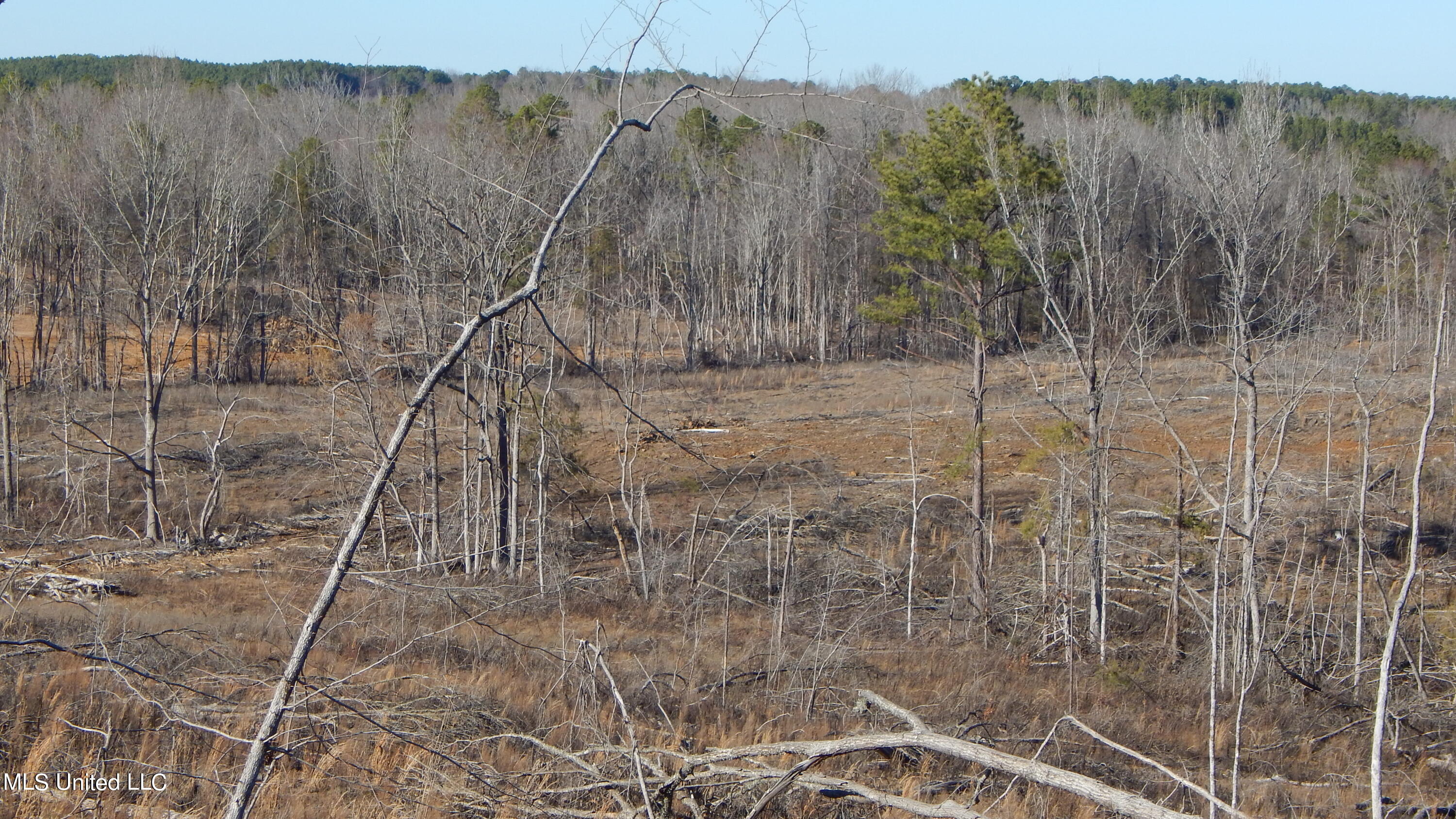 706 Graysport Crossing Road Gore Springs, MS 38929 - Photo 17 of 26 DSCN4709
