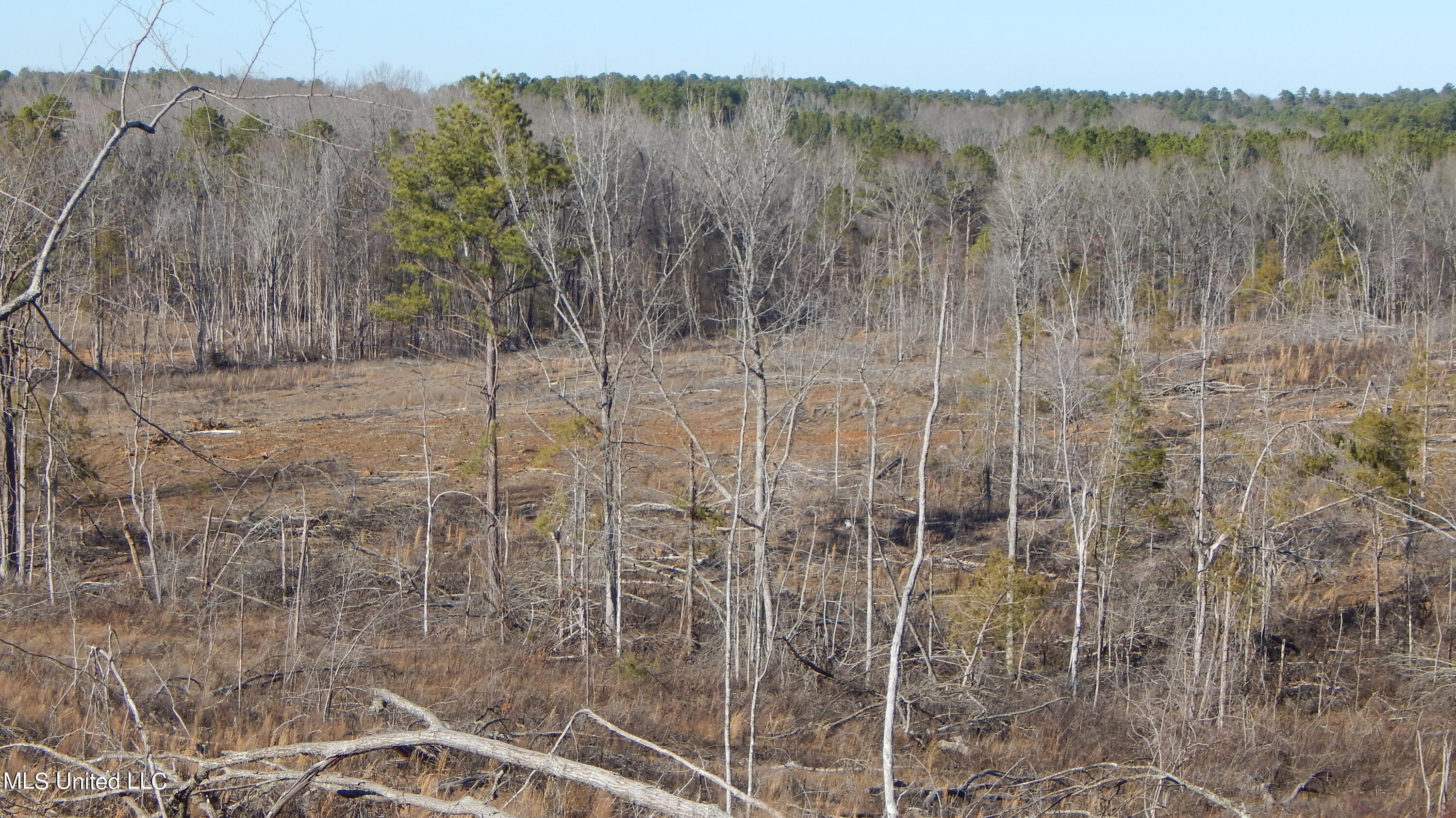 706 Graysport Crossing Road Gore Springs, MS 38929 - Photo 18 of 26 DSCN4710