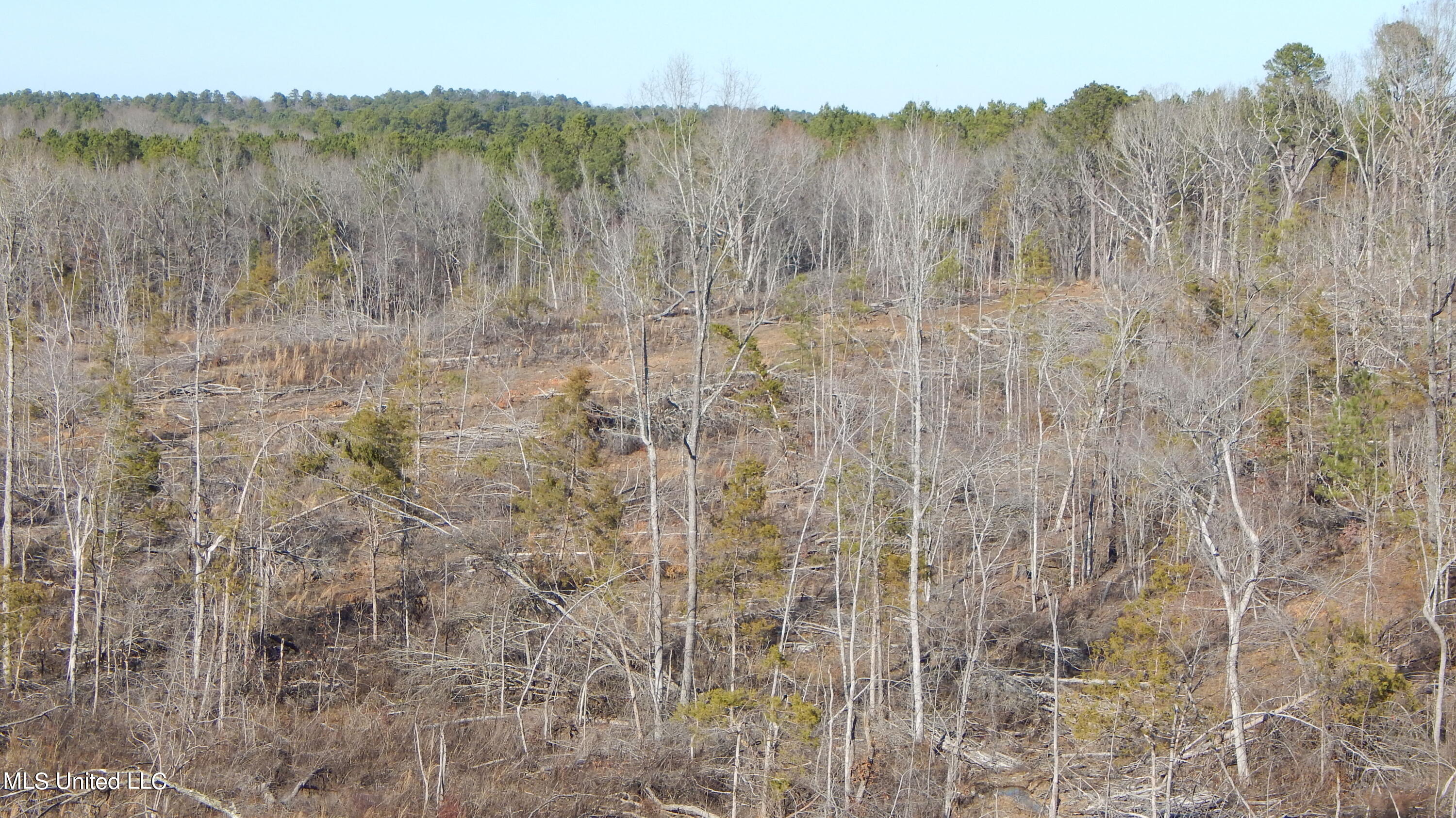 706 Graysport Crossing Road Gore Springs, MS 38929 - Photo 19 of 26 DSCN4711