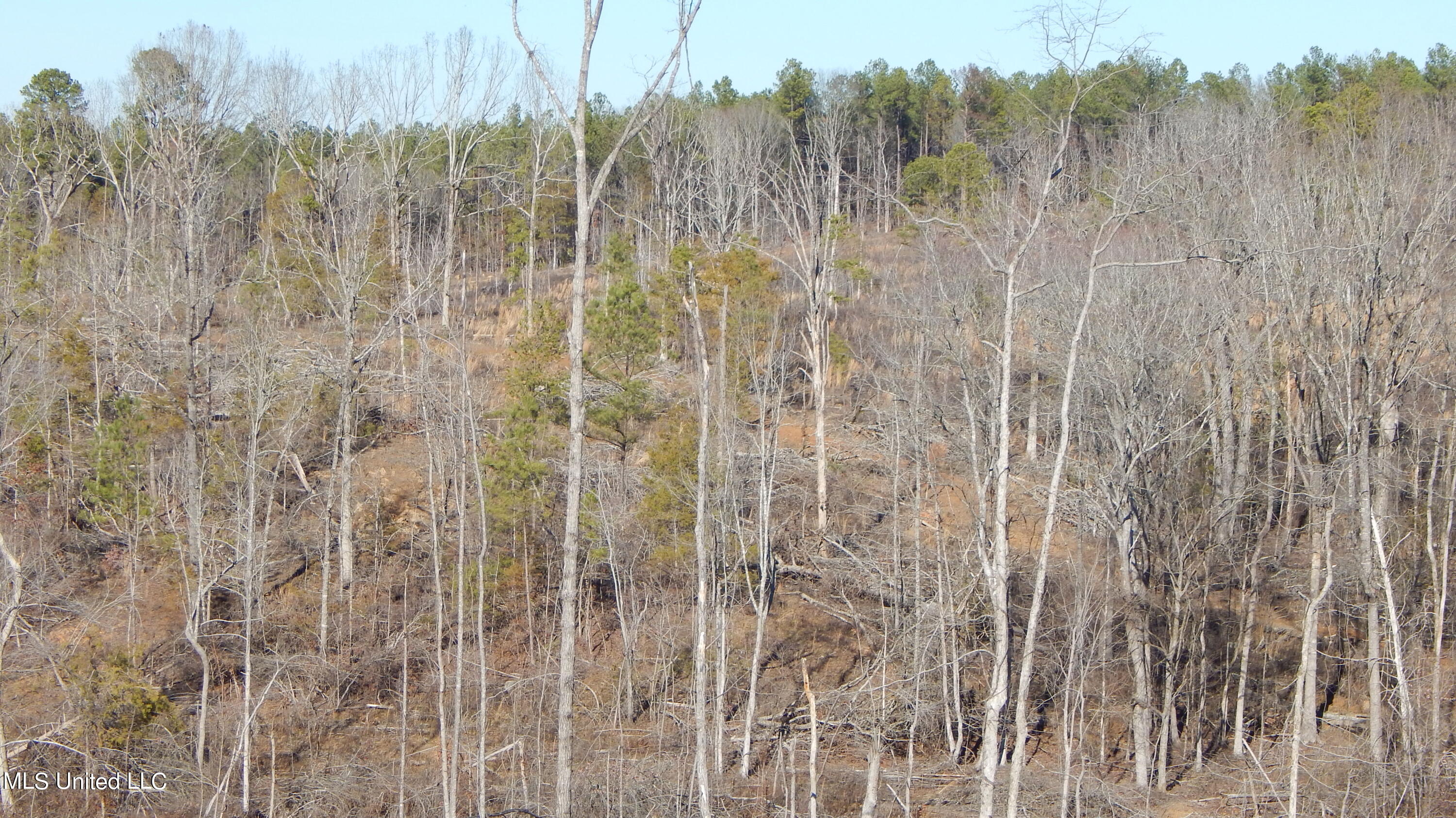 706 Graysport Crossing Road Gore Springs, MS 38929 - Photo 20 of 26 DSCN4712