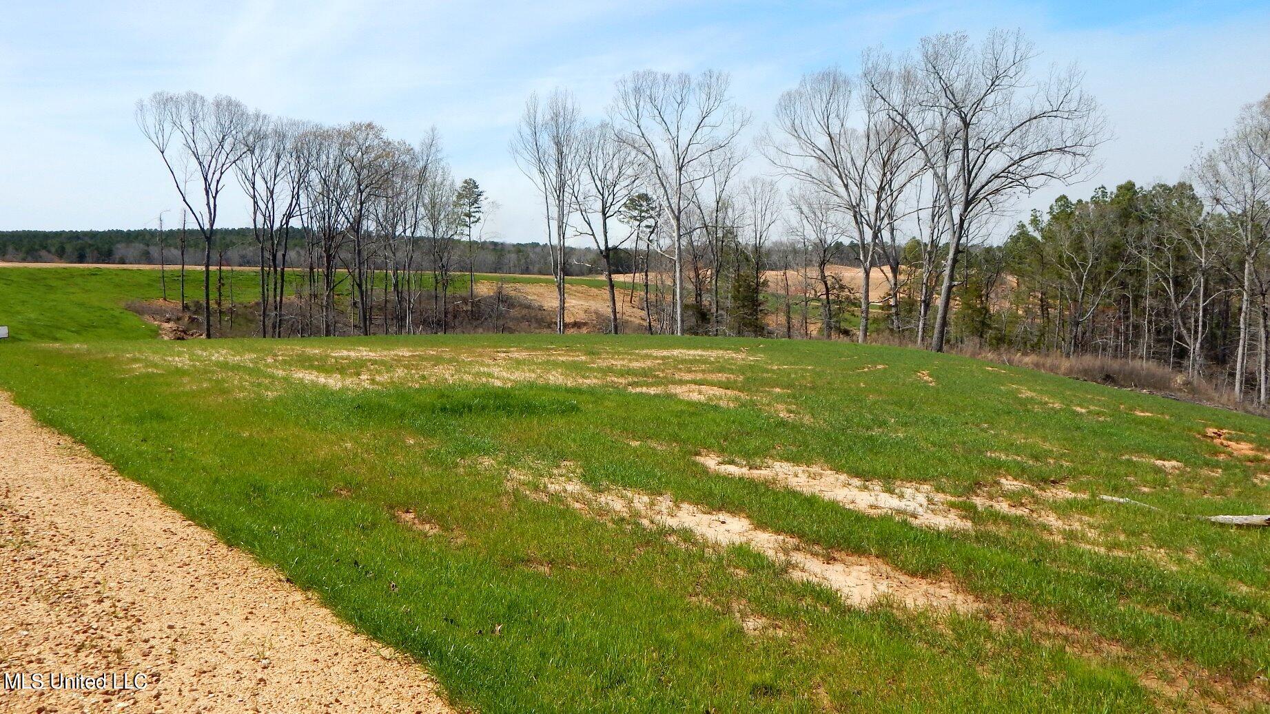 706 Graysport Crossing Road Gore Springs, MS 38929 - Photo 2 of 26 DSCN5013